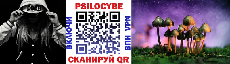 Галлюциногенные грибы Psilocybe  это наркотические препараты  Липецк  OMG сайт 